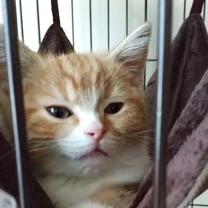 E4eacd81 637f 4c15 954b 20f5c2a44037 1621681857030