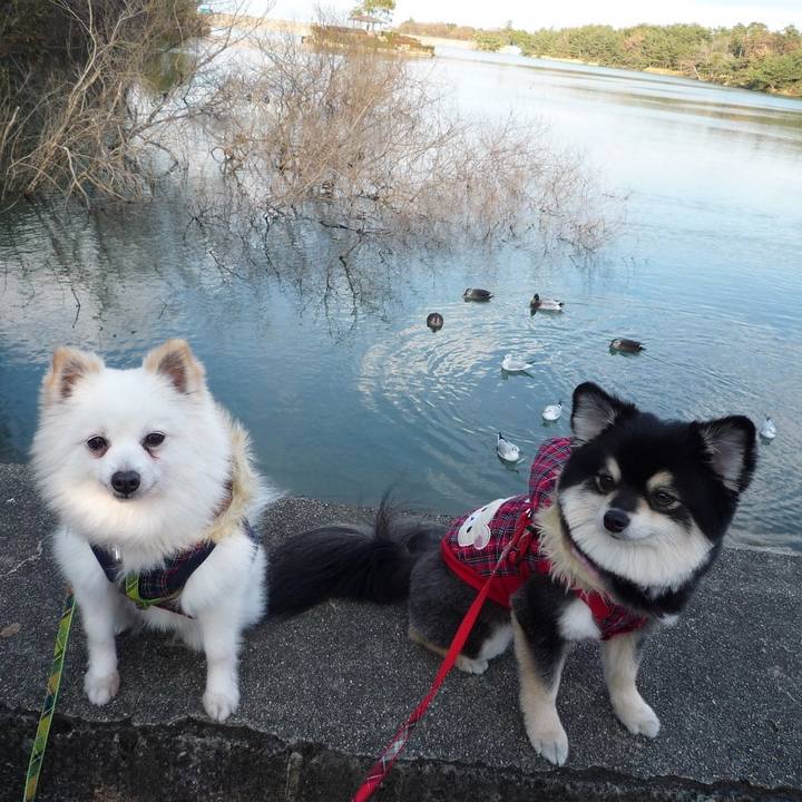 E4eafd07 06be 428e 9058 e6f879efde8f 1549987654792