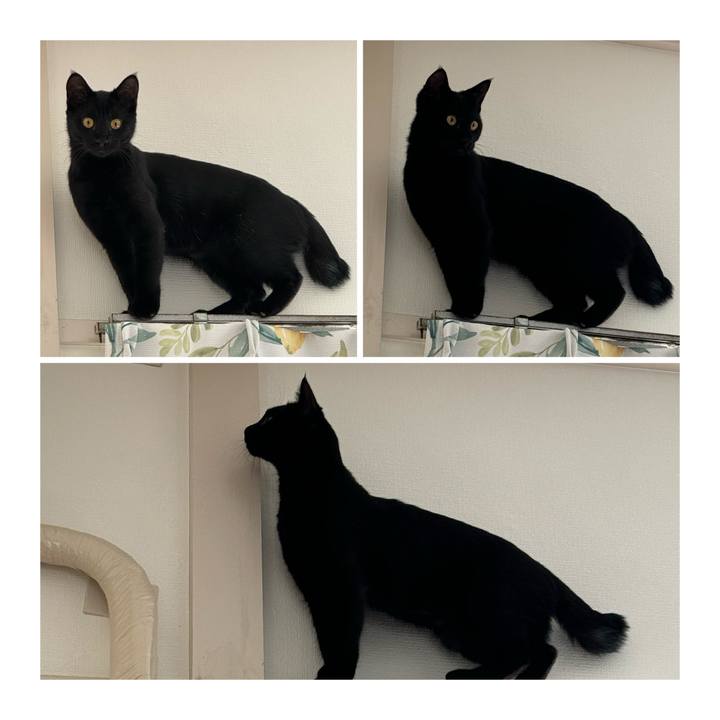 E4eb23d6 8c29 4e84 b7e8 0ec05115760e 1730599696165