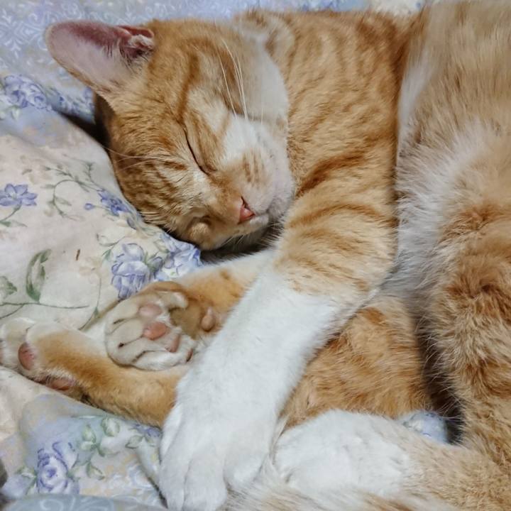 E4eb4995 19f9 4187 8253 97187d0210c9 1581773311661