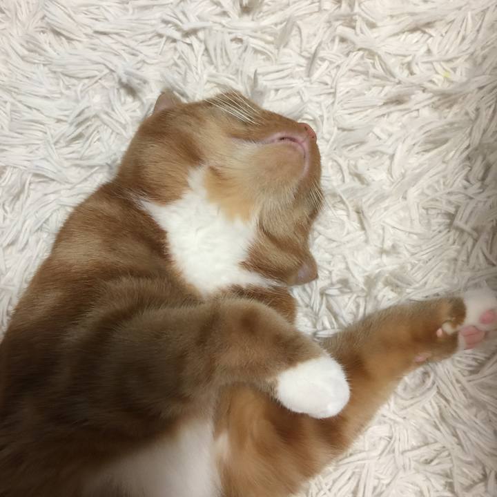 E4eb75aa 910b 41f6 807a 48f6aeef6d5c 1559001809536