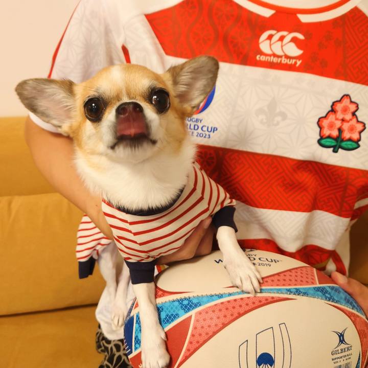 E4eba3f4 283a 41fe 97a6 6b5ebc807fdf 1694340671891