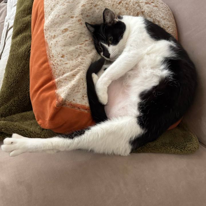 E4ebcfc7 f671 4809 8c19 209d63654242 1763000791381