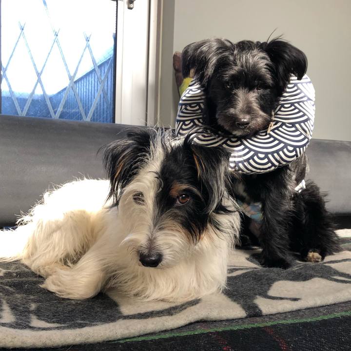 E4ec186b d5ff 4c25 a9a3 cef48ac1e90c 1546230998838