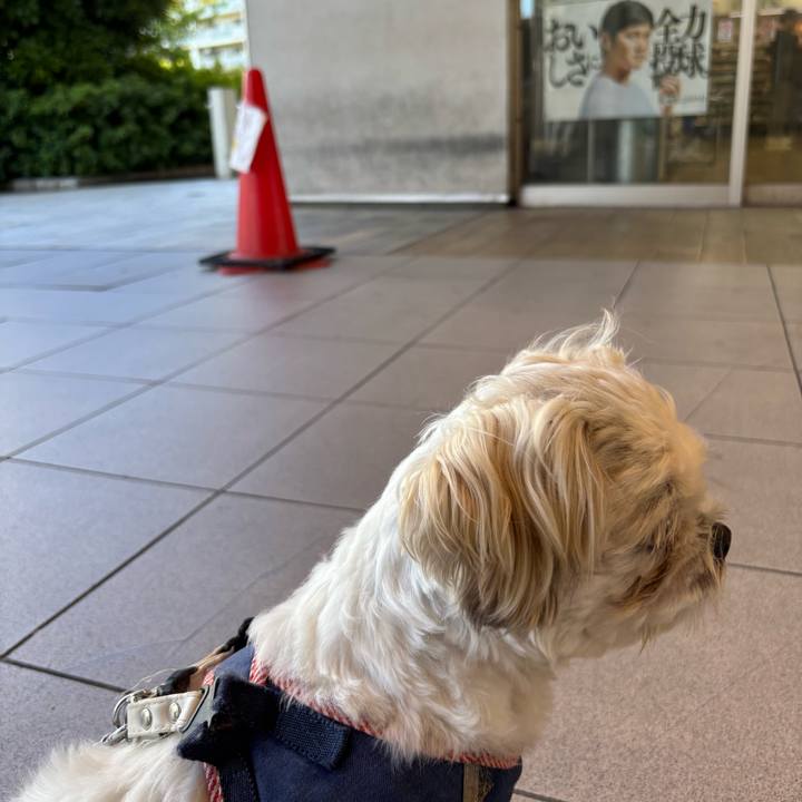 E4ec19d2 37bb 415f bbd4 f5a96e98f233 1754516777381