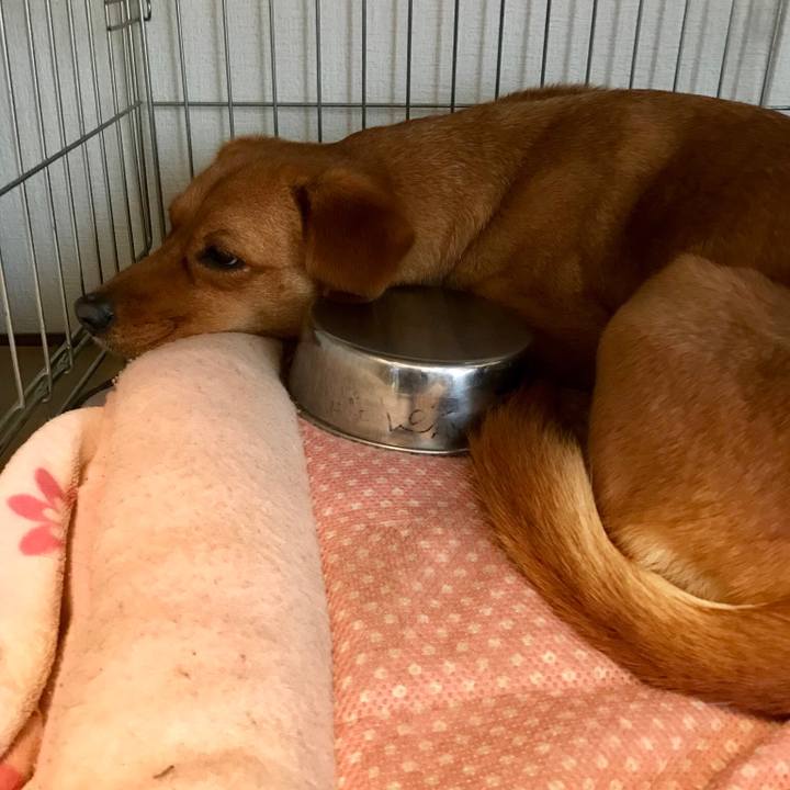 E4ec307c 7e22 45bd b03b 6836398d71fb 1520335909577