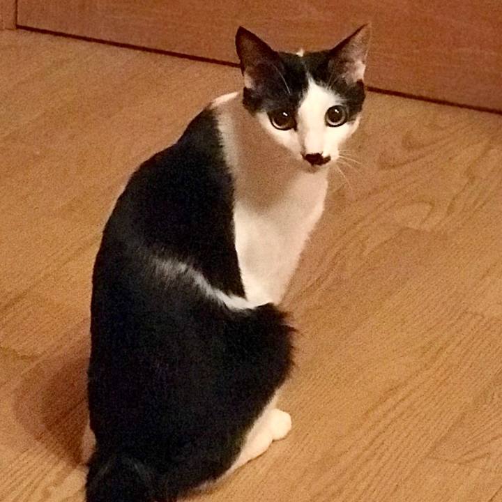 E4ec4847 4867 4de4 9600 abaf3b0770c0 1532359645010