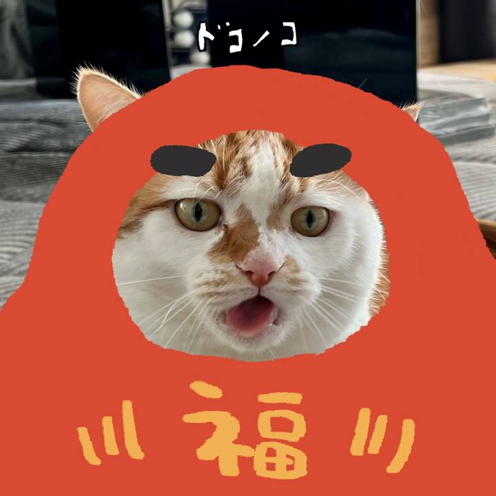 E4ec4c31 e948 4d03 86e9 db4a4835a6a6 1771901178793