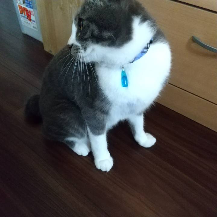 E4ec6708 8bb3 4d05 b95f 63e5d7643c71 1604797942747