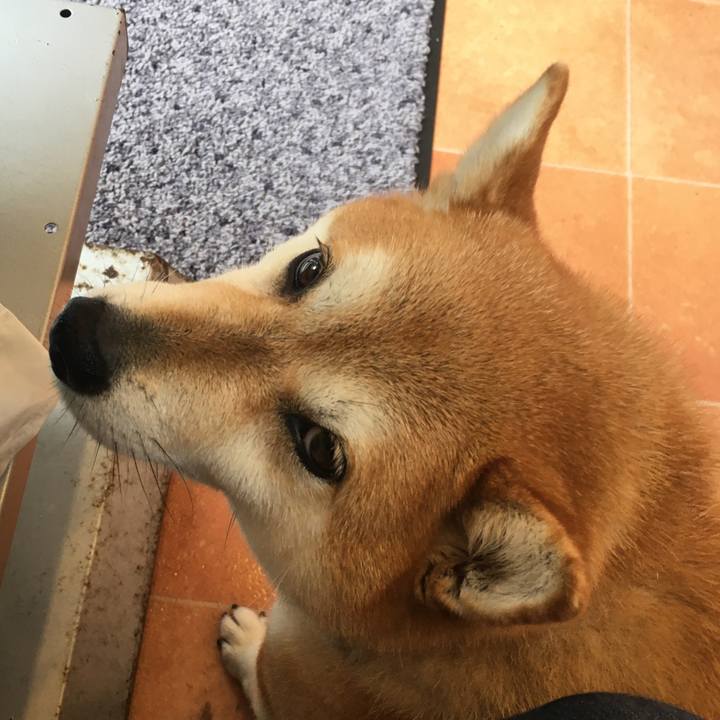 E4ec6a5e ea60 4342 bbc5 66808b5fde28 1594868097234