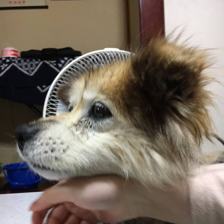 E4ec8fa7 011e 42fa 9f6c 2b2201b2630a 1629681038082