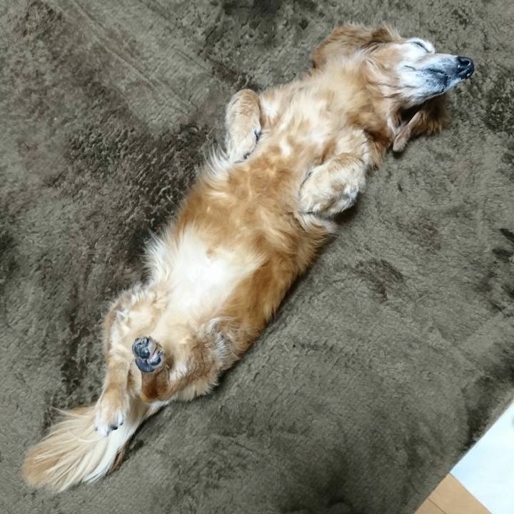 E4ec9f2a f75a 452e b1ba 232807ce2e84 1512927413418