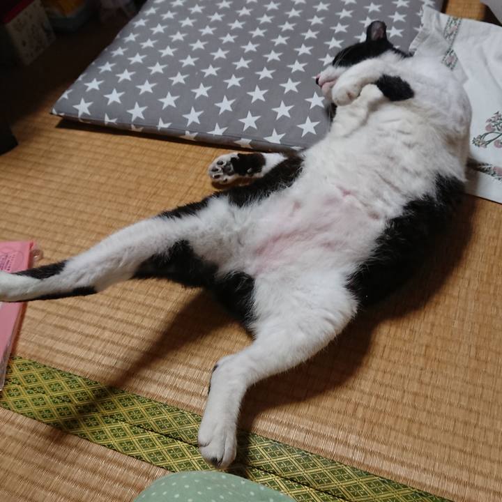 E4ece97d 95be 4c09 b2b6 dd0b4d31dc2e 1570193248585