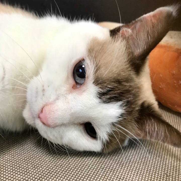 E4ecec39 cc77 484d 90aa 27e04e4787dd 1602500270914