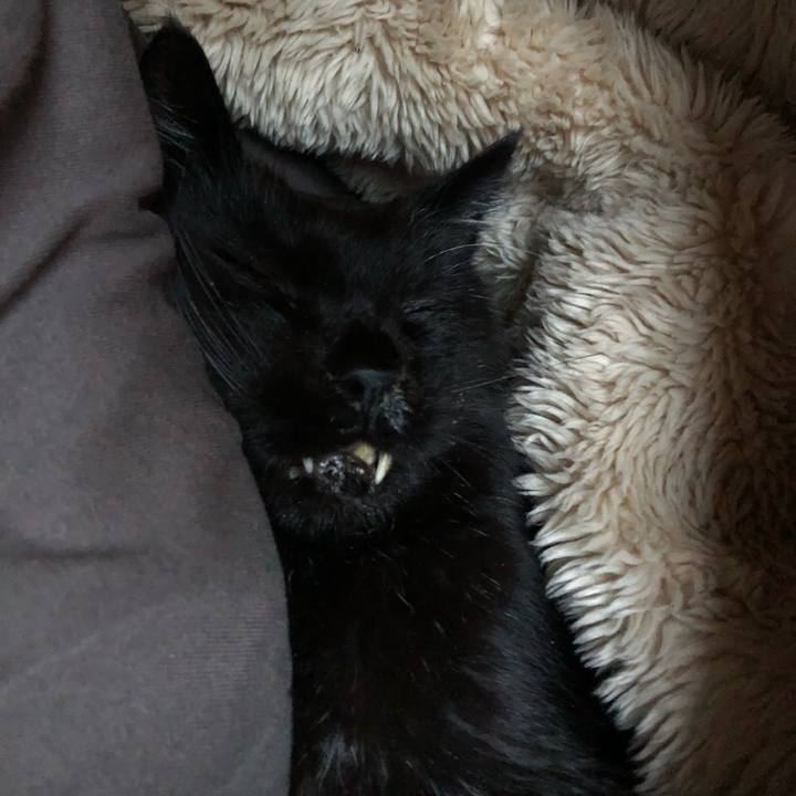 E4ed12f4 77ec 465c be46 ca9345f284e2 1644051707167