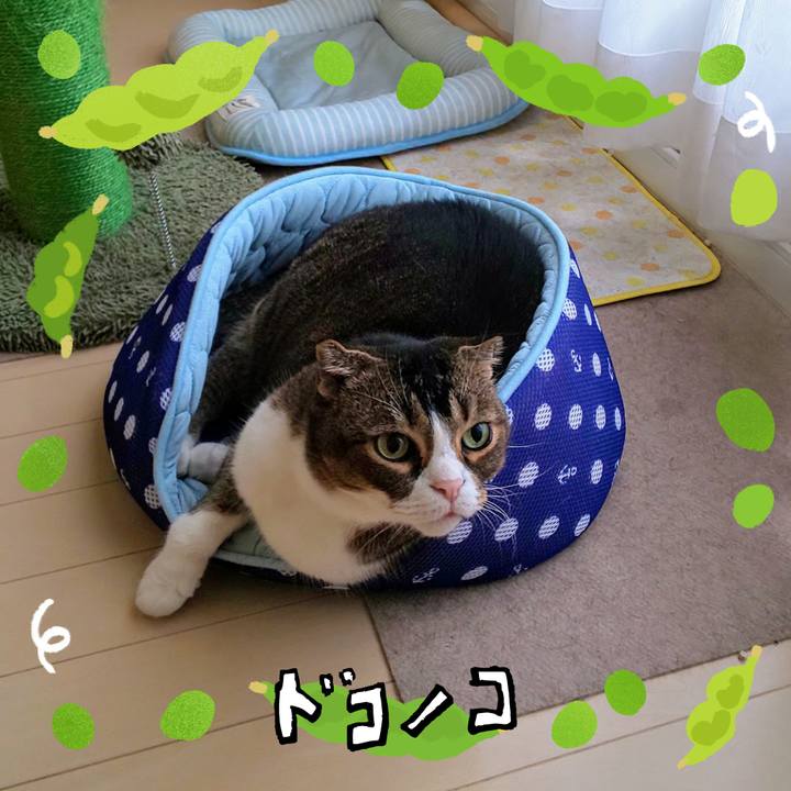 E4ed64ae e344 4ef8 b109 a37630244c75 1721257885936