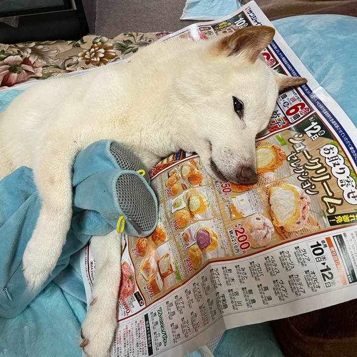 E4ed6892 0f3d 4741 89ed 18386d96ea80 1660108370648