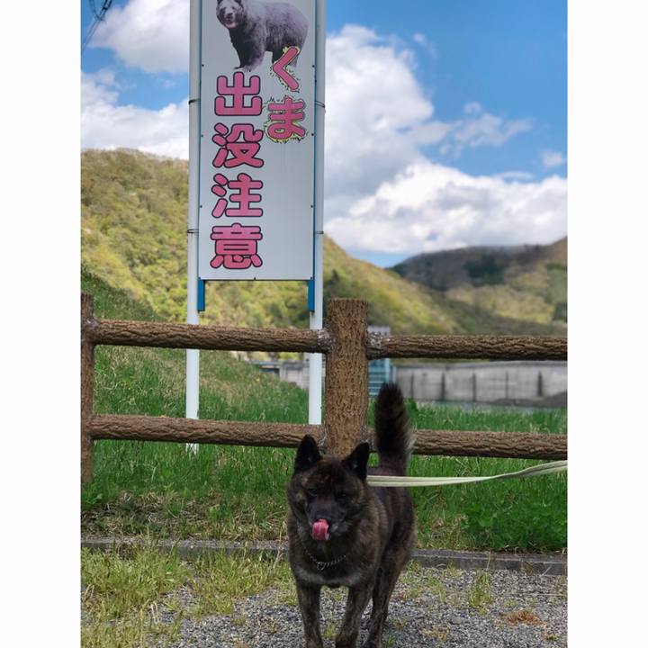 E4ed74d6 f490 4d59 bf5c d21206adb101 1556770014135