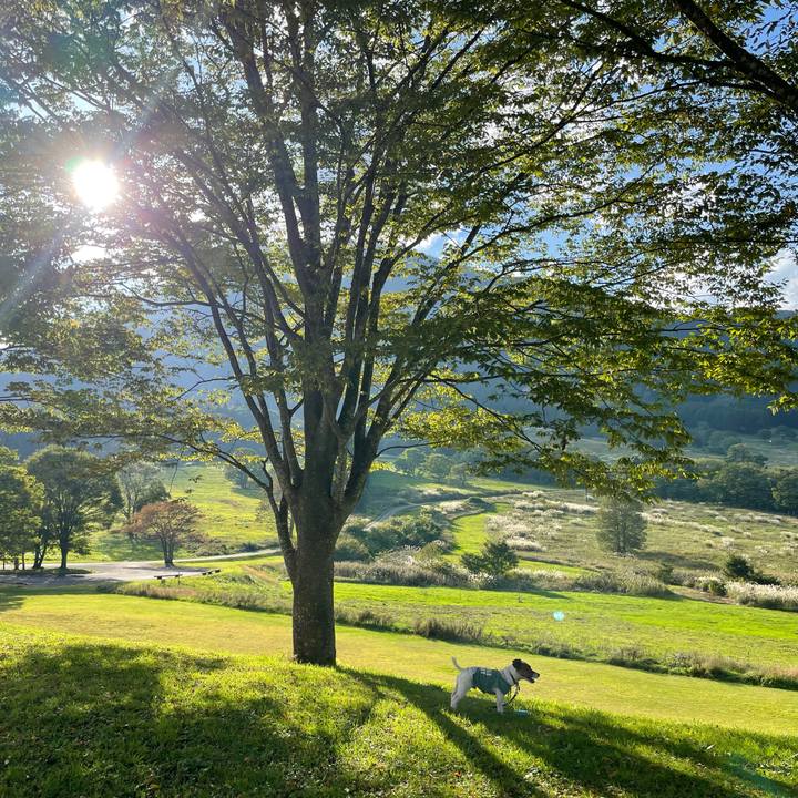 E4ed817d 2f01 4ff9 8013 60f596d84592 1633588181134