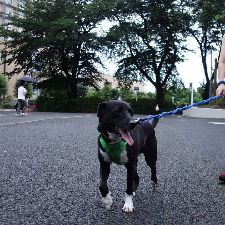 E4edbddb f991 4c23 9063 daca3d6a6b97 1595847712311