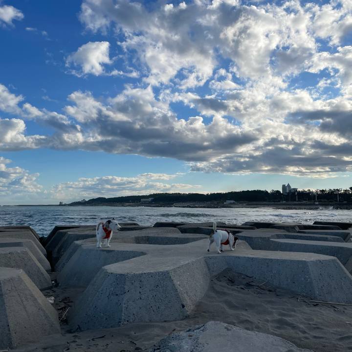 E4edc904 87a5 499f b2ef fbb44b9fc04f 1666137033706