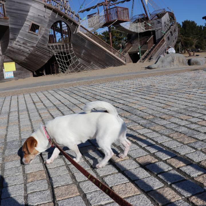 E4edcc4b e6bf 430f af8b aed8f988ce8c 1515033176583