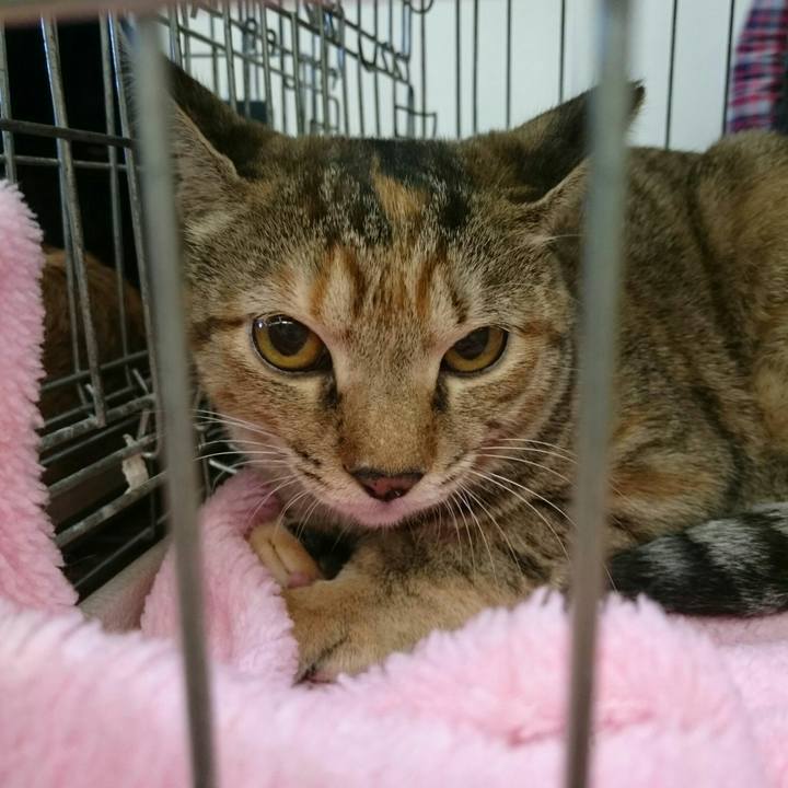 E4edd9ef aed8 468b 9f8d 02b4058712a4 1510487317271