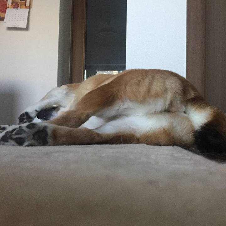 E4ede0ac a66c 4de4 9c97 e890d7677540 1513125918024