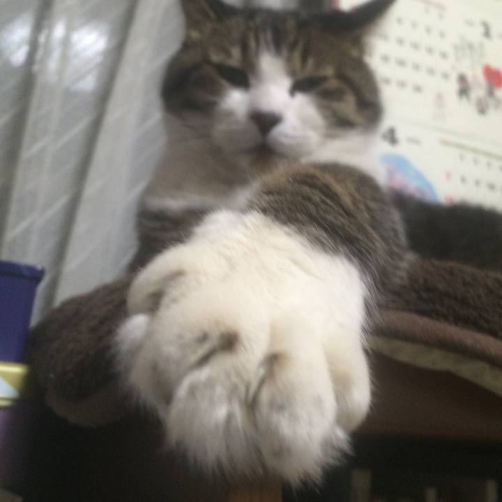 E4edeead 9ff6 4e86 85d3 e8acaf876b92 1550067232766