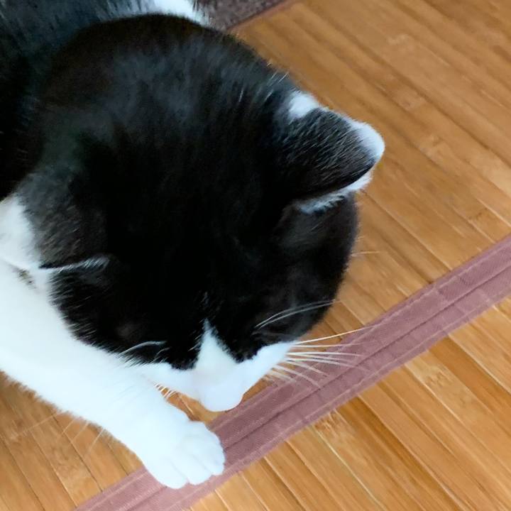 E4edfe5b f792 41bb 8fb2 c0ac05b68b9e 1574474083745