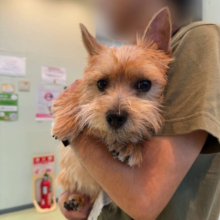 E4ee1887 5f8f 4963 ae26 71bcef2d7e3b 1724962912160