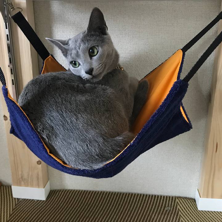 E4ee2717 6cc7 494f 9e66 986182f1682c 1525181418775