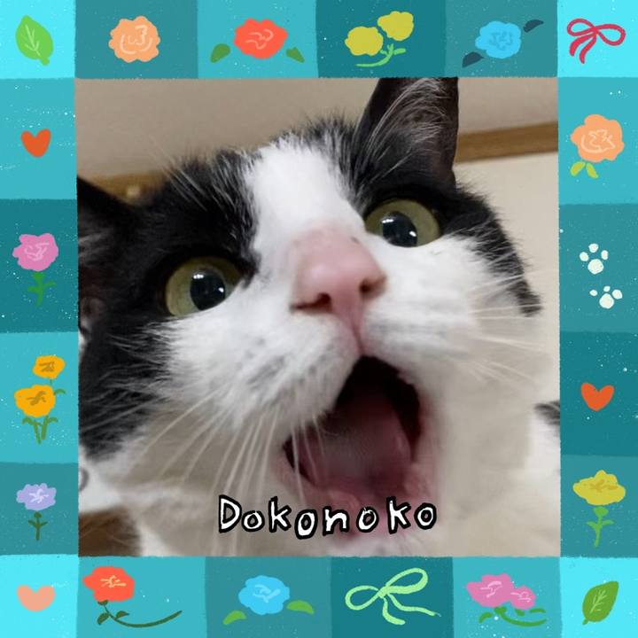 E4ee4d70 6432 48c1 8c54 123e54accead 1714955562426