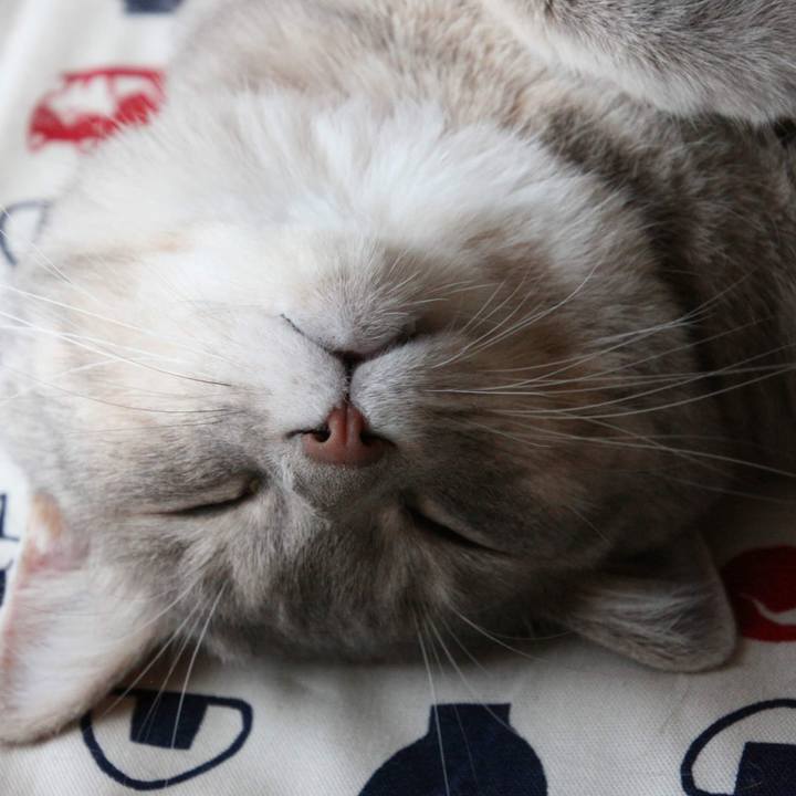 E4ee54a8 4753 4650 8994 6b96907d85fd 1534564690862