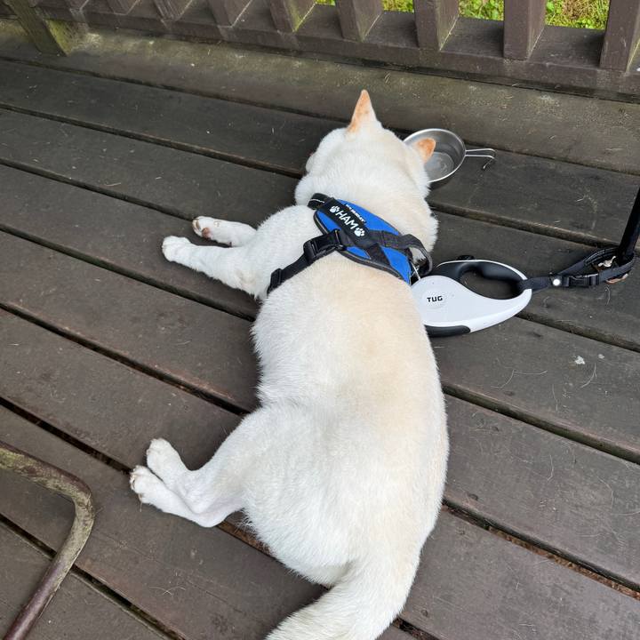 E4ee65ab 0f13 4517 9897 da98b1fe9bcb 1752962654306