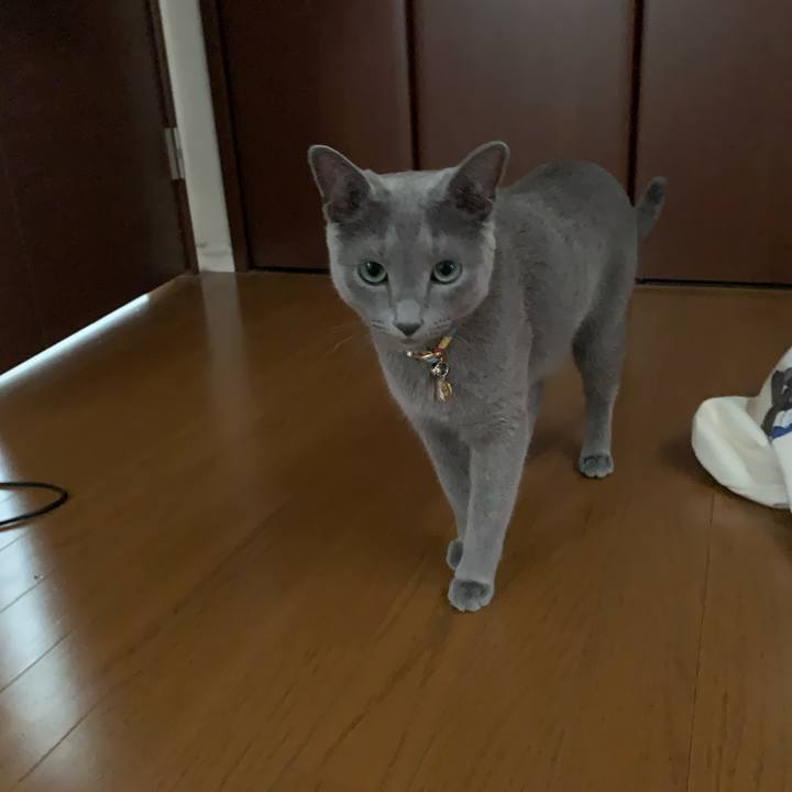 E4eea865 f2cd 4928 804e 28af1d7131b7 1628731143943