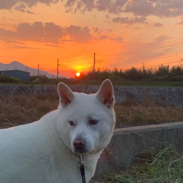 E4ef0267 2765 432e 85cc 9dd059360d4b 1557661275120