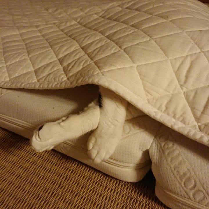 E4ef2384 0f9f 41bb 8f0b 2a12ce0a6671 1539083710090