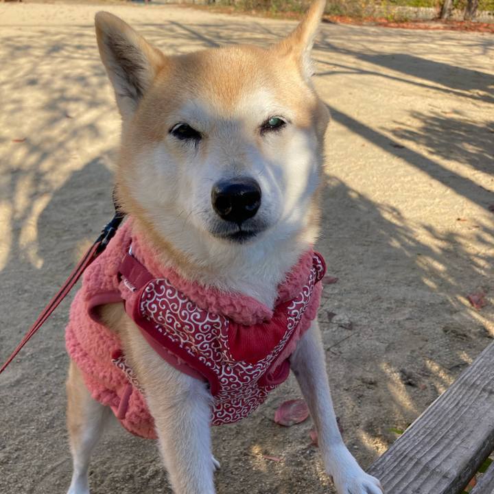 E4ef73a7 3040 43fc bc38 28d7b42ac616 1639464458648