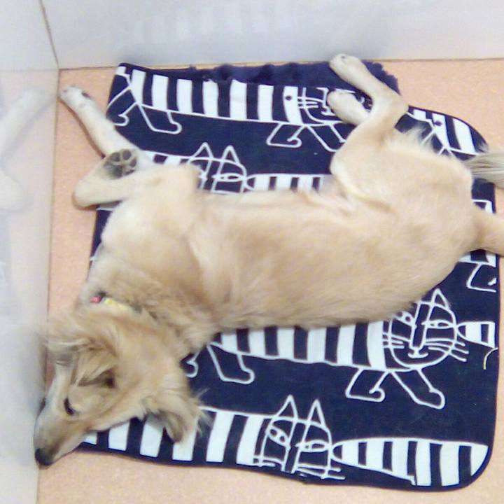 E4ef7411 49bf 476c aa4d 121b74658979 1518874456869