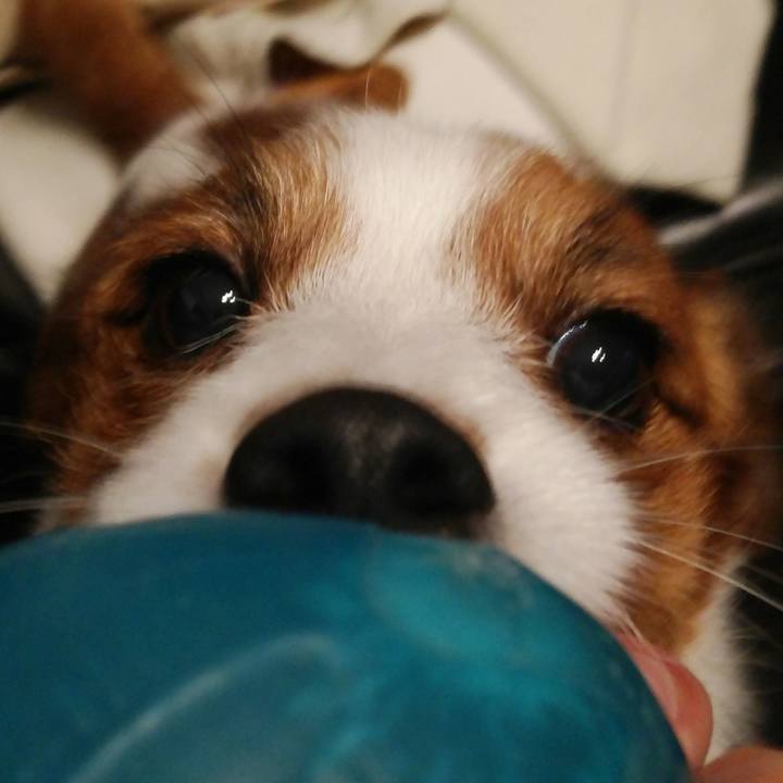 E4ef8ea6 40a6 4be5 bab5 0c7149c9971f 1516793095922