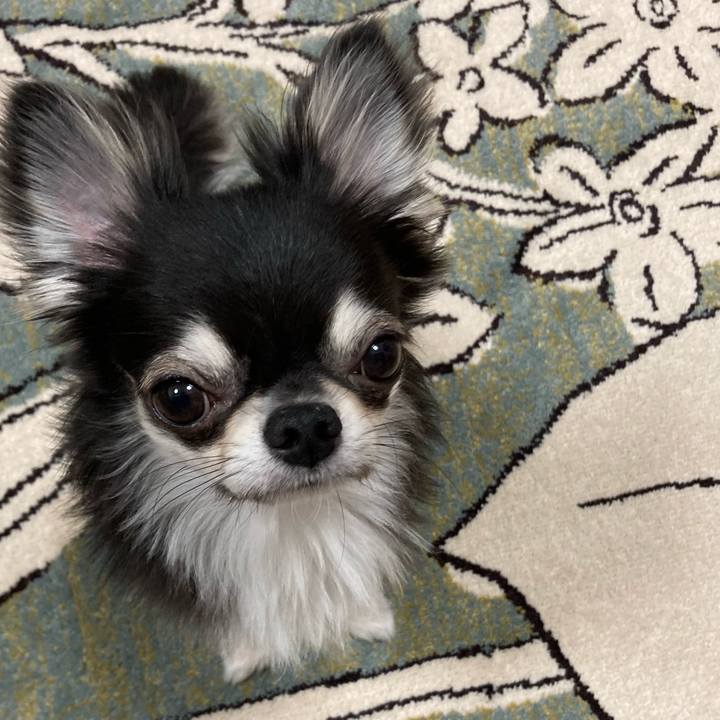 E4efb01a 7f08 4f2b b926 410482c77913 1624192758105