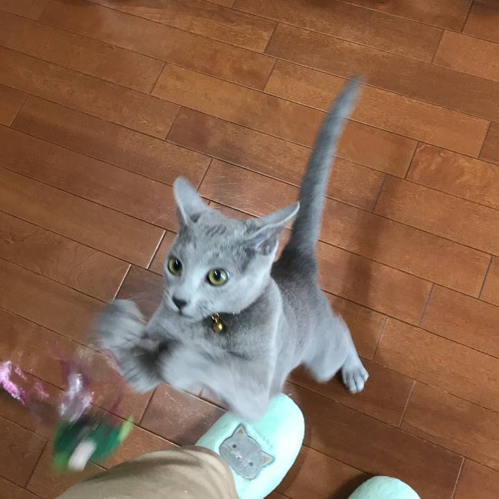 E4efcaba fbb6 48db bd98 f8a9e3a56cd2 1518616142981