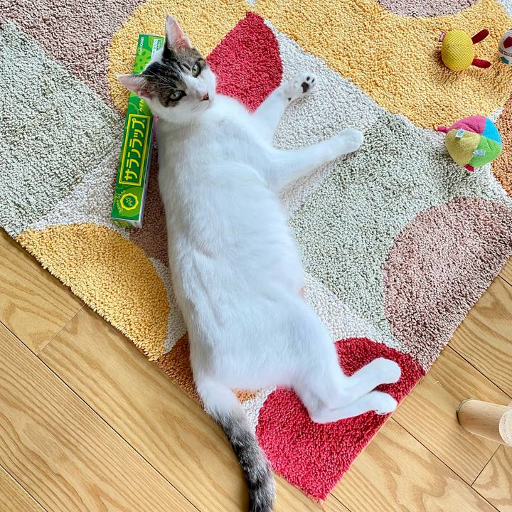 E4efdb4f 4c69 4bfd a365 57f730552ad1 1660455215101