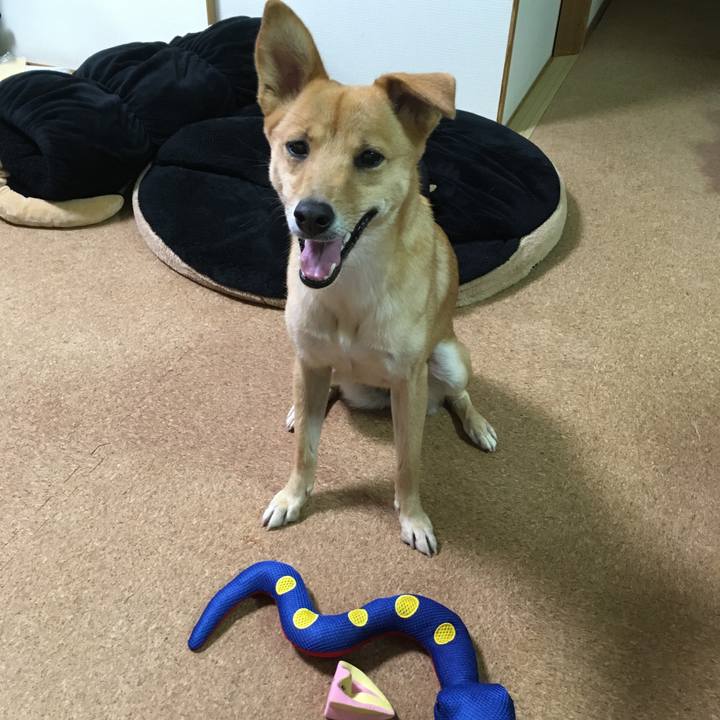 E4efdc5d a33c 45bb 89e1 e8f85e67e5c9 1511706051592