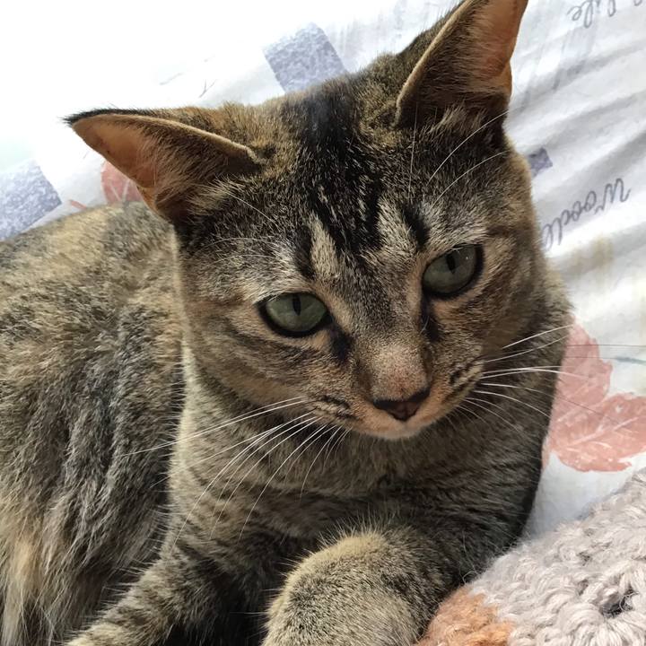 E4f03312 a25d 4c51 9a36 b6f7dde14bdc 1596530632547