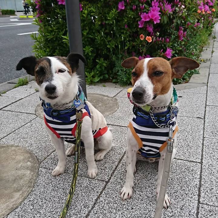 E4f0566b 145b 4d84 923a 45100dbaaa06 1556057428853