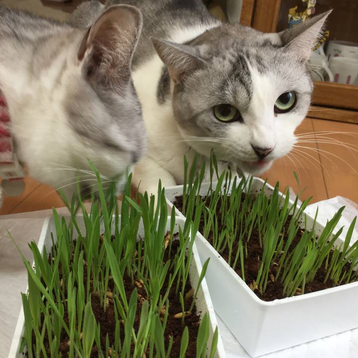 E4f0764e f477 42d2 804c 0c1dc6f058ed 1536999919852