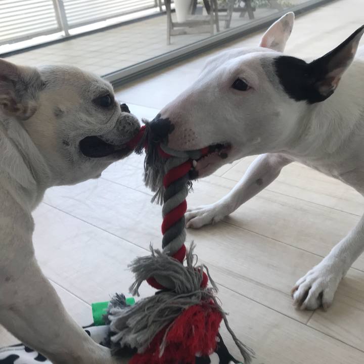 E4f094b7 71c5 493a 8312 e1da4a0d13b9 1515059319938