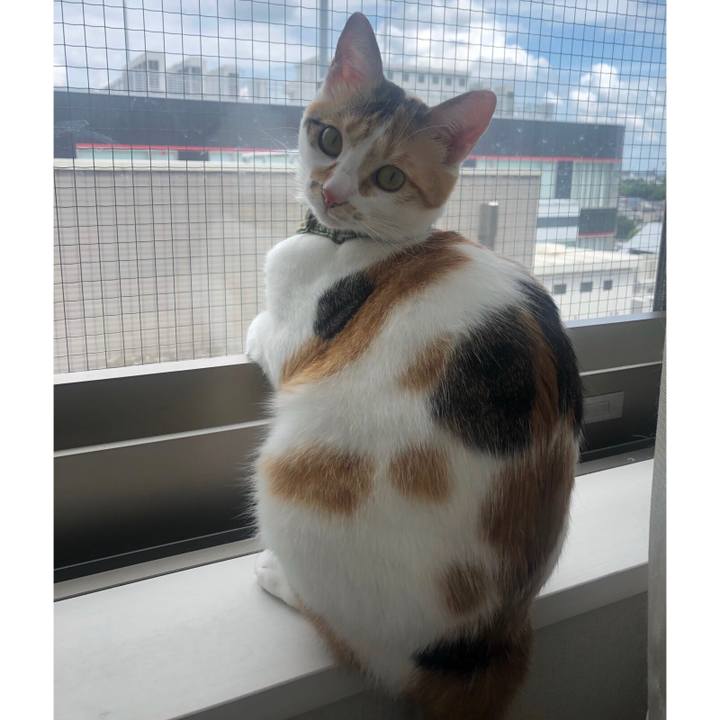 E4f09543 bb23 4eaa 983d 0355866d2126 1596339734049